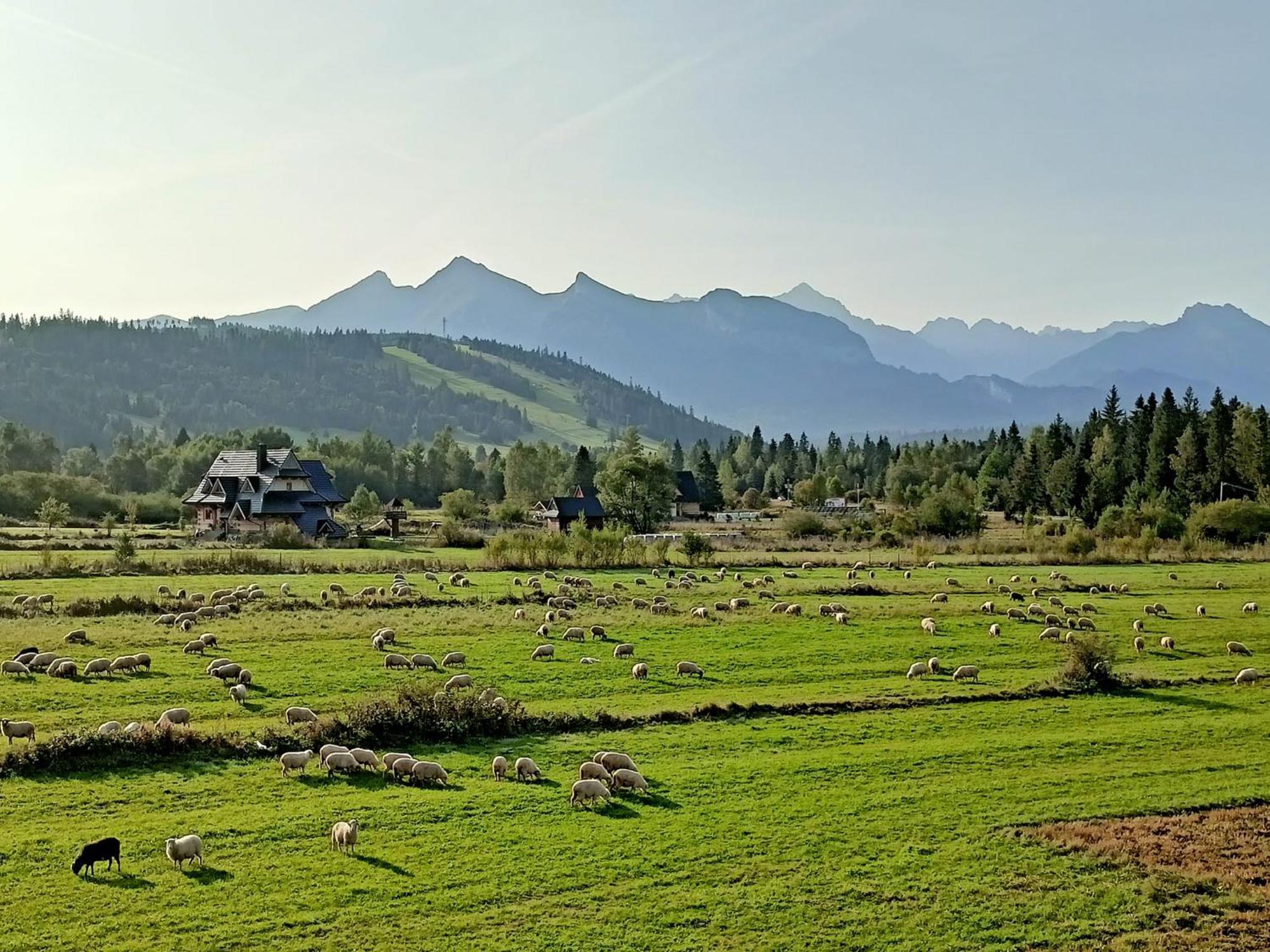 Domek Z Goralska Dusza Sleboda Jurgow Exterior photo